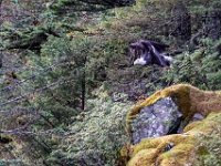 DS600850 : David von der Mehden