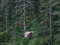 DS600862 : David von der Mehden