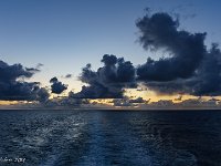 DSC07219 : David von der Mehden