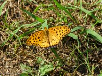 DSC07826 : David von der Mehden