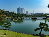 DSC07841 : David von der Mehden