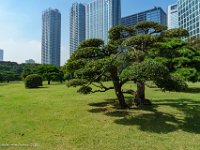 DSC07843 : David von der Mehden