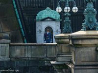 DSC07864 : David von der Mehden