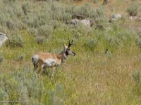 DS600010 : David von der Mehden