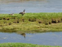 DS600037 : David von der Mehden