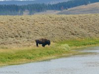 DS600046 : David von der Mehden