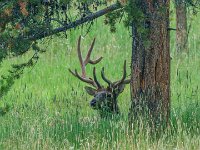 DS600054 : David von der Mehden