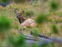 DS600075 : David von der Mehden