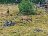 DS600103 : David von der Mehden