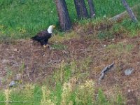DS600110 : David von der Mehden