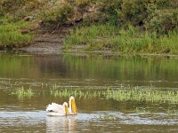 DS600142 : David von der Mehden