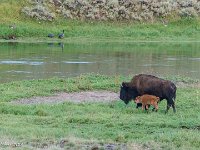 DS600162 : David von der Mehden