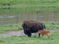 DS600170 : David von der Mehden