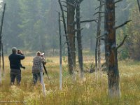 DS600192 : David von der Mehden