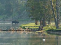 DS600195 : David von der Mehden