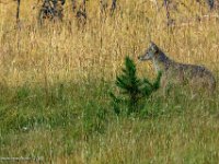 DS600205 : David von der Mehden