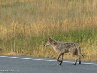 DS600215 : David von der Mehden