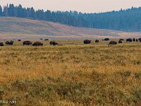 DS609898 : David von der Mehden