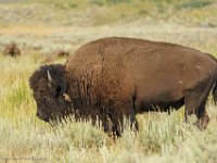 DS609930 : David von der Mehden