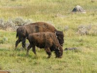 DS609961 : David von der Mehden