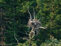 DS609987 : David von der Mehden