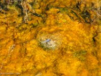 DSC06130 : David von der Mehden