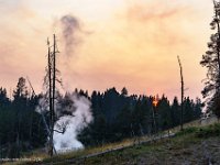 DSC06162 : David von der Mehden