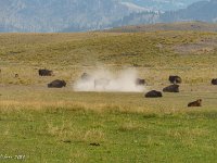 DSC06215 : David von der Mehden