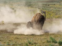 DSC06231 : David von der Mehden