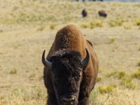 DSC06233 : David von der Mehden