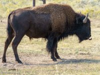 DSC06239 : David von der Mehden