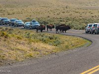 DSC06241 : David von der Mehden