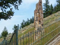 DSC06267 : David von der Mehden