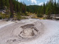 DSC06493 : David von der Mehden