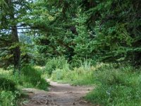 DSC06540 : David von der Mehden