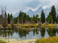 DSC06544 : David von der Mehden