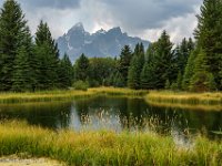 DSC06550 : David von der Mehden