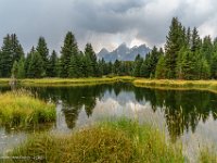 DSC06551 : David von der Mehden