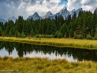 DSC06557 : David von der Mehden