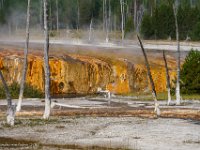 DSC06575 : David von der Mehden