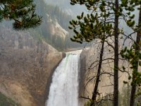 DSC06596 : David von der Mehden