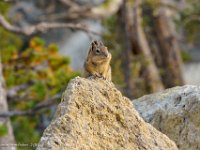 DSC06623 : David von der Mehden