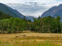 DSC06657 : David von der Mehden