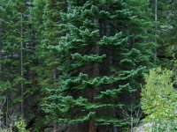 DSC06679 : David von der Mehden