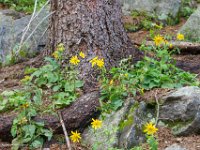 DSC06680 : David von der Mehden