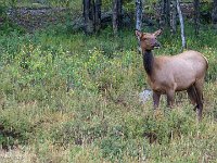 DSC06701 : David von der Mehden