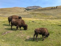 IMG 4194 : David von der Mehden