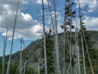 IMG 4226 : David von der Mehden