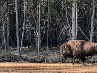 IMG 4253-Edit : David von der Mehden