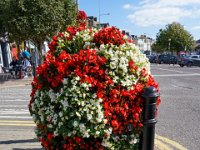DSC05808 : David von der Mehden